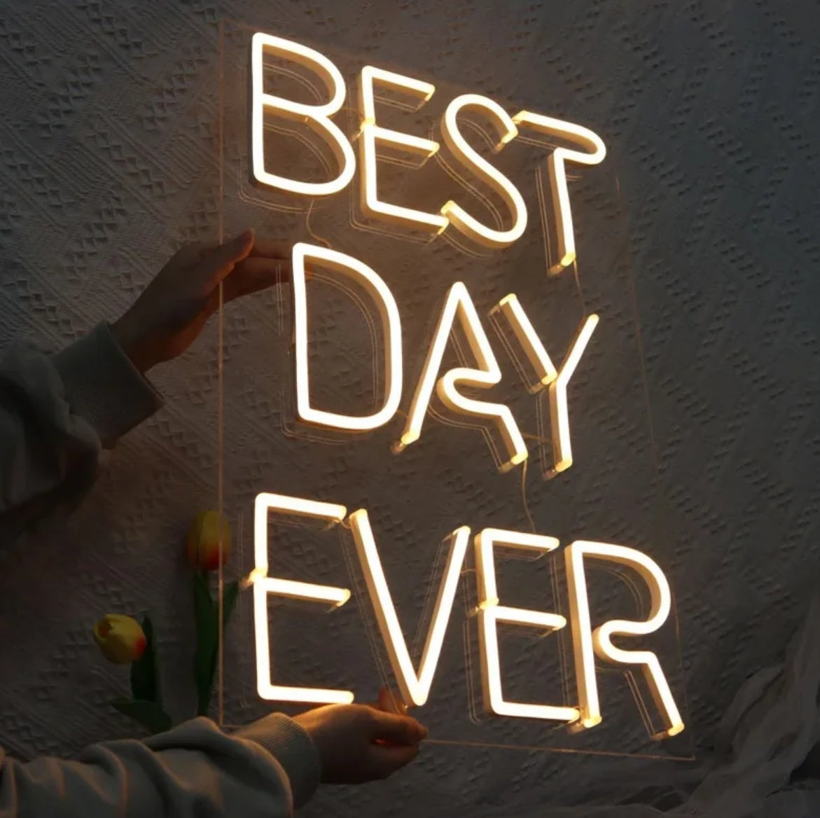 Best day ever neon sign