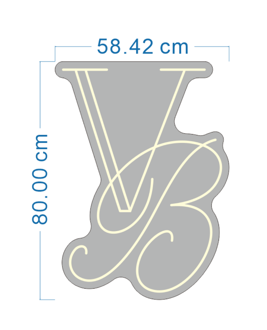 Baanuja Somas-Custom neon sign