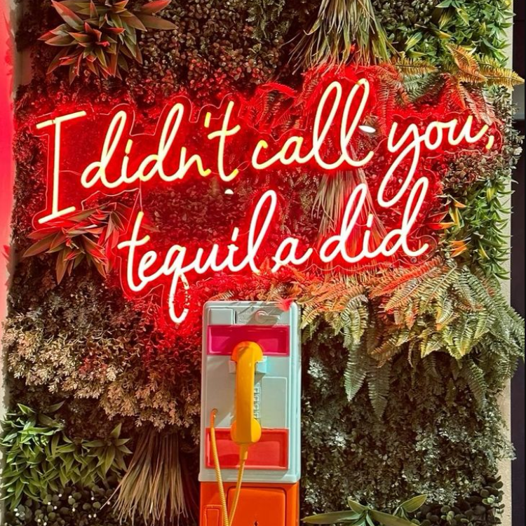 I Didn't Call You,Tequila Did Neon Sign