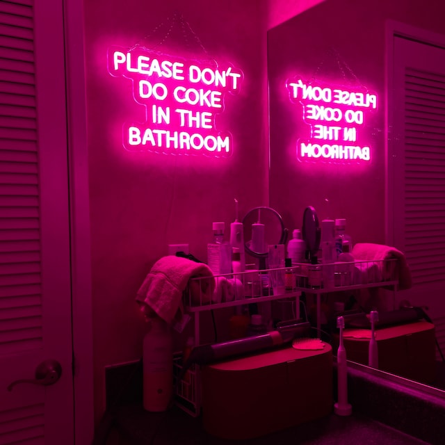 Please Don't Do Coke In The Bathroom Neon Sign